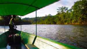 «Αμαζόνιος στο έλεος του Μπολσονάρο», γράφει ο Νότης Μαυρουδής